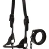 Weaver Leather Black Magic Show Halter, 20 in. Chain, 36 in. Lead -WEAVER LEATHER Sales 1022541