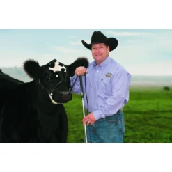 Weaver Leather Black Magic Show Halter, 20 in. Chain, 36 in. Lead -WEAVER LEATHER Sales 1022541 A2