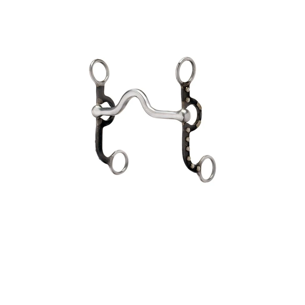 Weaver Leather Professional Antiqued Argentine Horse Bit, 5 in. Sweet Iron Polished Medium Port Mouth with Copper Inlay, 25-1820 3 Weaver Leather Professional Antiqued Argentine Horse Bit, 5 in. Sweet Iron Polished Medium Port Mouth with Copper Inlay, 25-1820