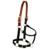 Weaver Leather Original Breakaway Horse Halter with Adjustable Chin and Throat Snap, 35-6024-BK -WEAVER LEATHER Sales 1120205