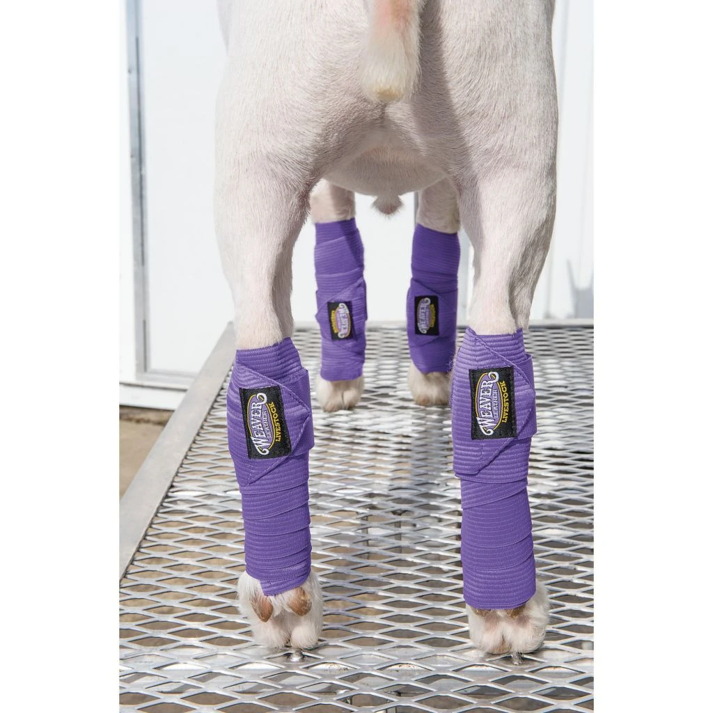 Weaver Leather 4 in. x 4 in. Sheep and Goat Leg Wraps, Purple, 4 pk. 5 Weaver Leather 4 in. x 4 in. Sheep and Goat Leg Wraps, Purple, 4 pk. - Image 3