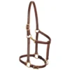 Weaver Leather Track Halter, 3/4 in. Leather, Cob, Mahogany, 10-0153 -WEAVER LEATHER Sales 1196620