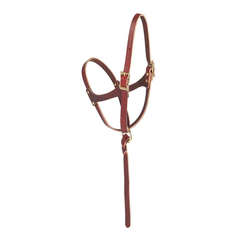 Weaver Leather Figure 8 Foal Halter, 5/8 in. Leather, Suckling, Burgundy, 10-0190 3 Weaver Leather Figure 8 Foal Halter, 5/8 in. Leather, Suckling, Burgundy, 10-0190