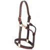 Weaver Leather Leather Thoroughbred Halter with Snap, 1 in., 20-0511 -WEAVER LEATHER Sales 1196629
