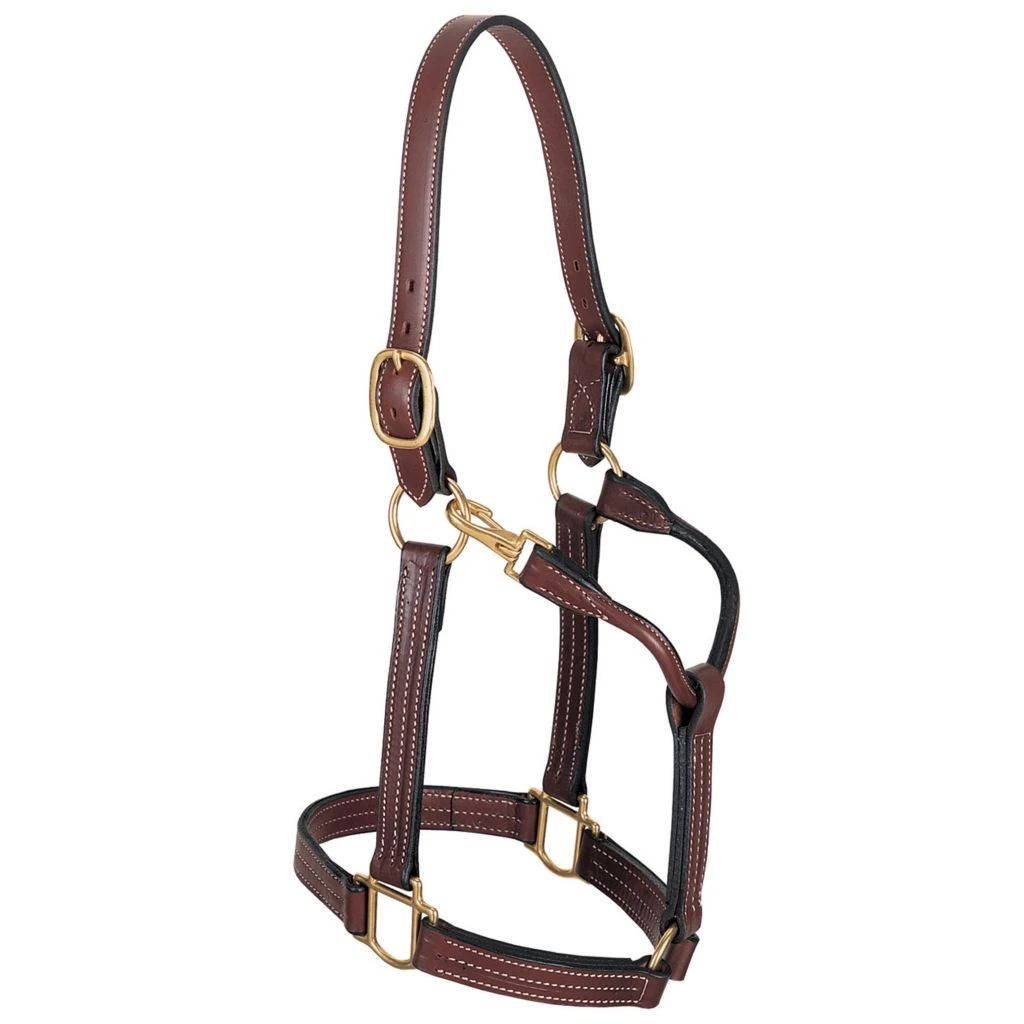 Weaver Leather Leather Thoroughbred Halter with Snap, 1 in., 20-0511 3 Weaver Leather Leather Thoroughbred Halter with Snap, 1 in., 20-0511