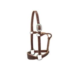 Weaver Leather Stacy Westfall Leather Bronc Halter, 1 in. Average, Sunset, 20-0651