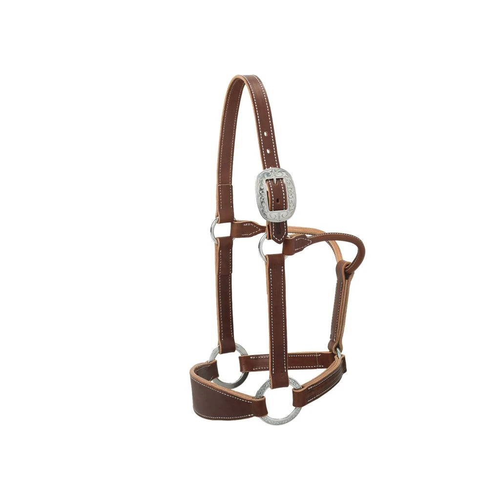 Weaver Leather Stacy Westfall Leather Bronc Halter, 1 in. Average, Sunset, 20-0651 3 Weaver Leather Stacy Westfall Leather Bronc Halter, 1 in. Average, Sunset, 20-0651