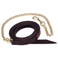 Weaver Leather 1 in. Single-Ply Horse Lead with Brass Plated Chain, 30-0609-MH-7