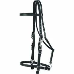 Weaver Leather Brahma Webb Halter Bridle, 35-2070-BK