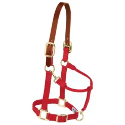 Weaver Leather Original Breakaway Horse Halter with Adjustable Chin and Throat Snap, 35-6024-BK -WEAVER LEATHER Sales 1200750