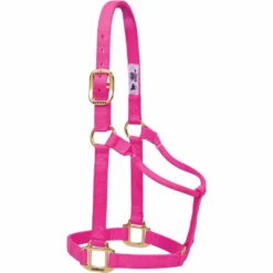 Weaver Leather Original Non-Adjustable Halter, 35-7004-EG -WEAVER LEATHER Sales 1200863