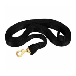 Weaver Leather Flat Nylon Lunge Line with Snap, Black, 1 in. x 24 ft. with Snap, 35-7042-BK
