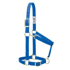 Weaver Leather Basic Halter with Adjustable Chin and Throat Snap, 1 in., 35-7434-BL