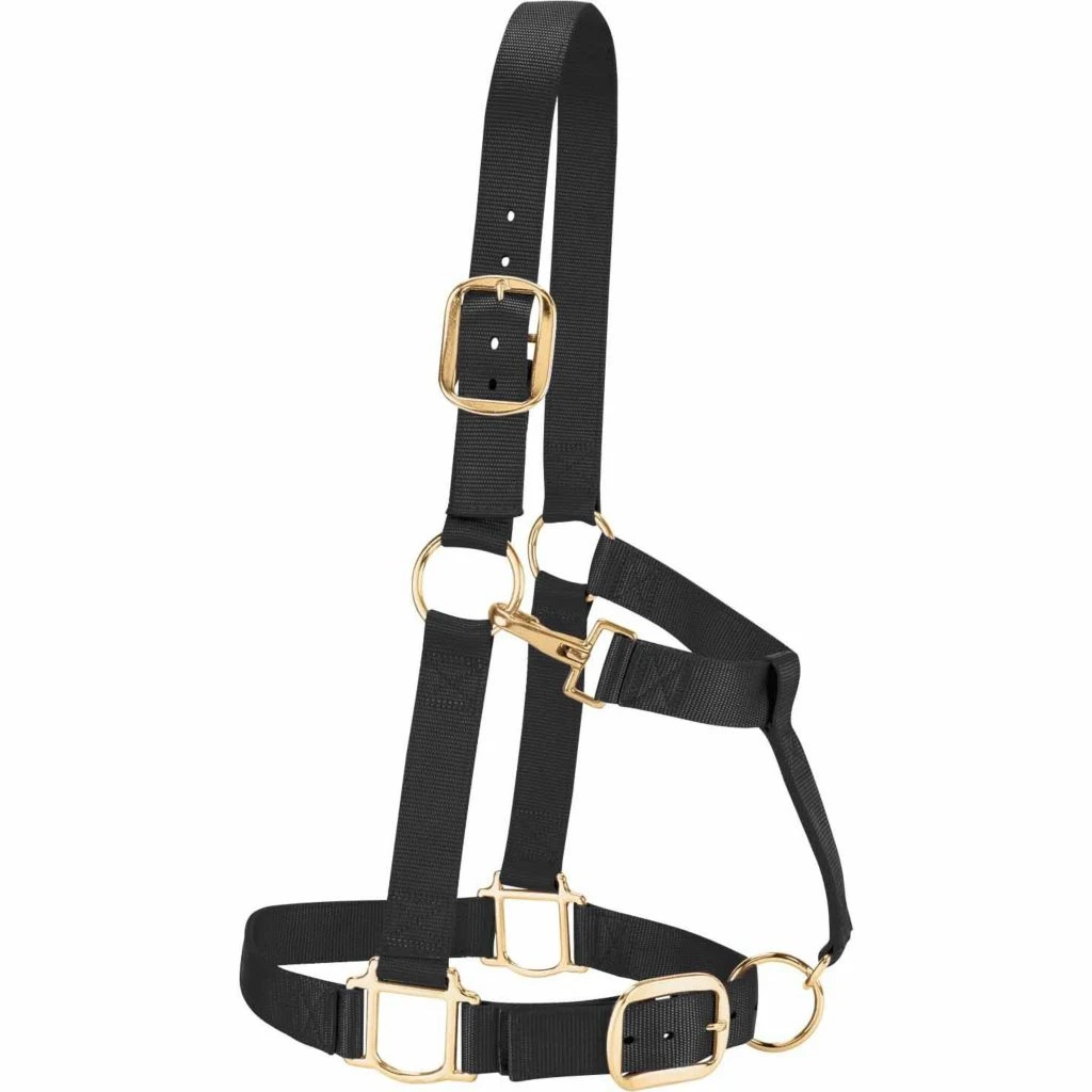 Weaver Leather Nylon Draft Halter 4 Weaver Leather Nylon Draft Halter - Image 2