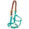 Weaver Leather Adjustable Breakaway Nylon Horse Halter, Weanling/Pony, 35-1022-OR