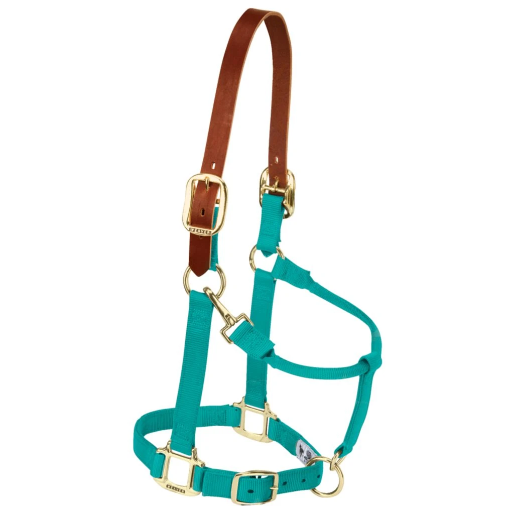 Weaver Leather Adjustable Breakaway Nylon Horse Halter, Weanling/Pony, 35-1022-OR 3 Weaver Leather Adjustable Breakaway Nylon Horse Halter, Weanling/Pony, 35-1022-OR