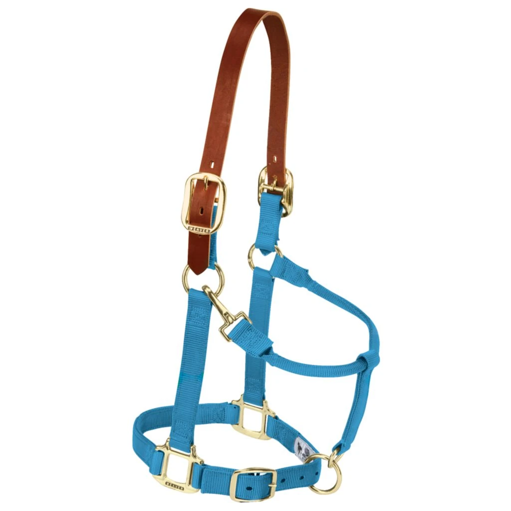 Weaver Leather Adjustable Breakaway Nylon Horse Halter, Weanling/Pony, 35-1022-OR 6 Weaver Leather Adjustable Breakaway Nylon Horse Halter, Weanling/Pony, 35-1022-OR - Image 4