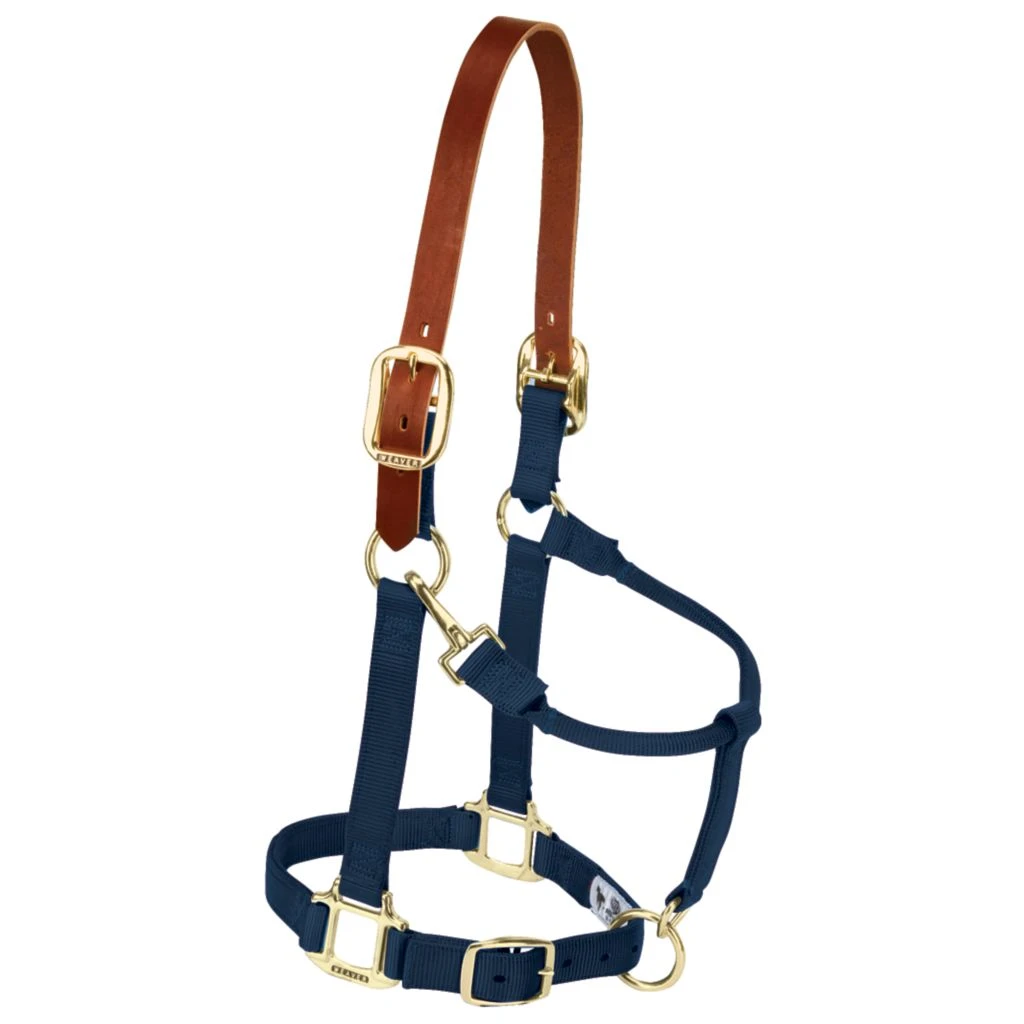 Weaver Leather Adjustable Breakaway Nylon Horse Halter, Weanling/Pony, 35-1022-OR 5 Weaver Leather Adjustable Breakaway Nylon Horse Halter, Weanling/Pony, 35-1022-OR - Image 3