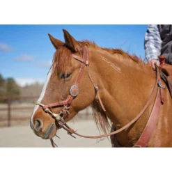 Weaver Leather Justin Dunn Bitless Bridle Nose Piece, 35-2065-C2 -WEAVER LEATHER Sales 1267021 A1