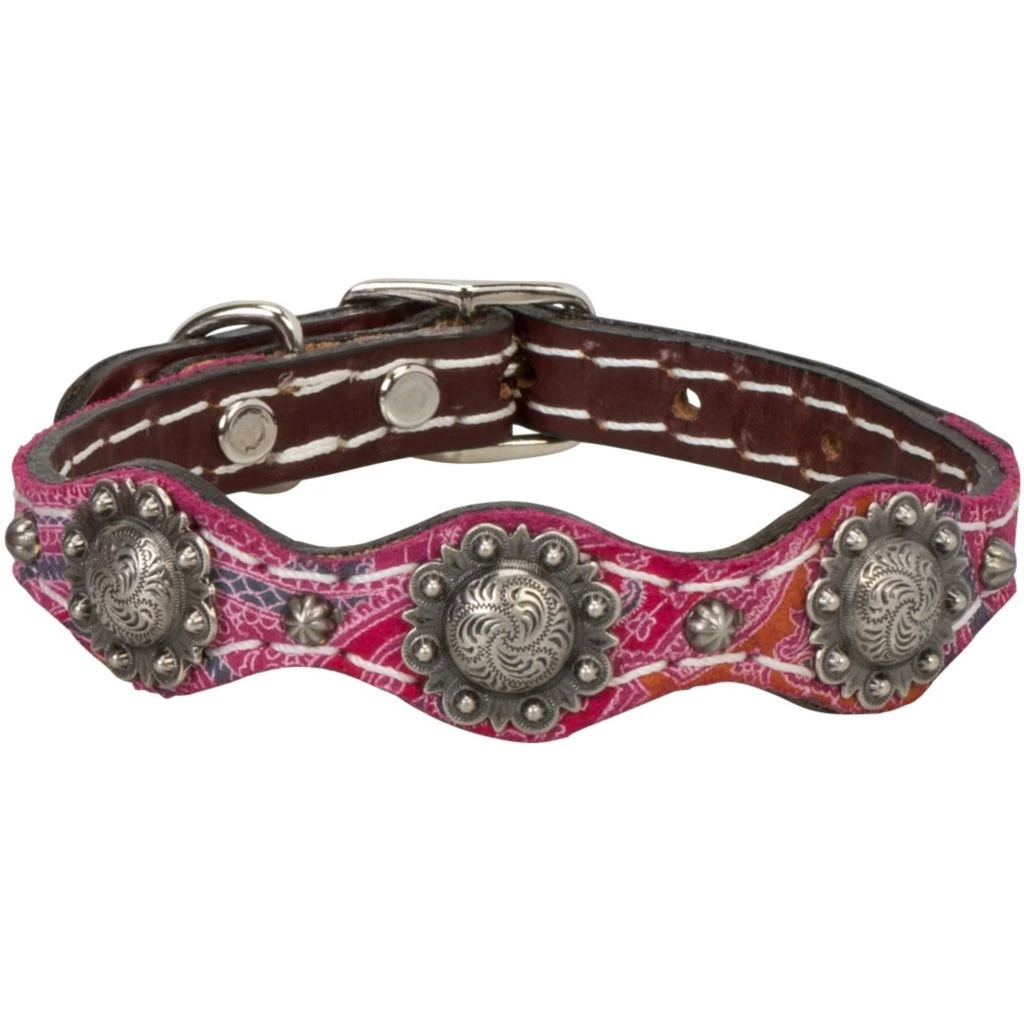Weaver Leather Vintage Paisley Dog Collar, 06-5880-PK-13 6 Weaver Leather Vintage Paisley Dog Collar, 06-5880-PK-13 - Image 4