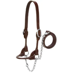 Weaver Leather Dairy/Beef Rounded Show Halter, Large, Brown